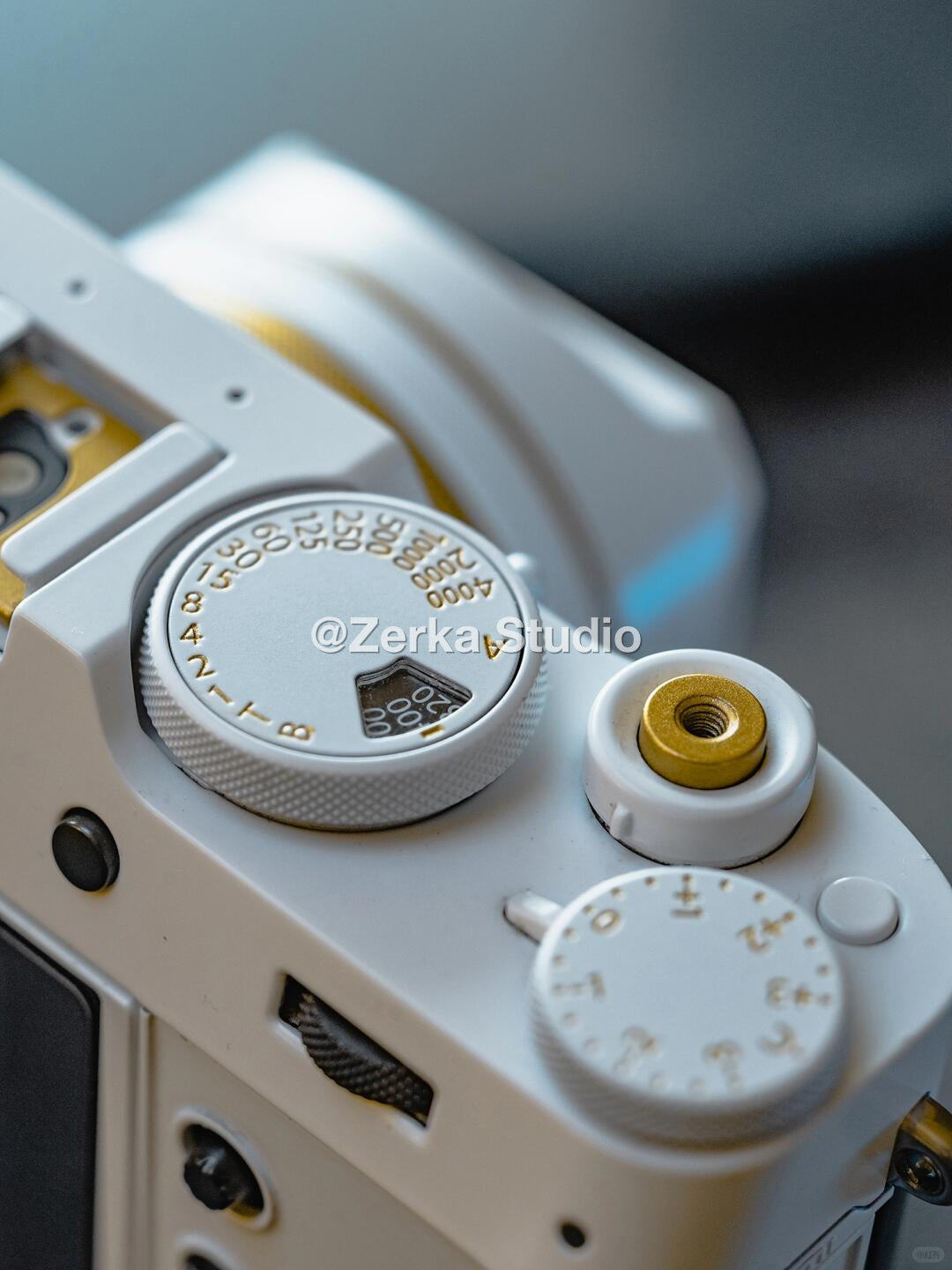 [Made to Order] Fujifilm X100V 【Bullion】#180