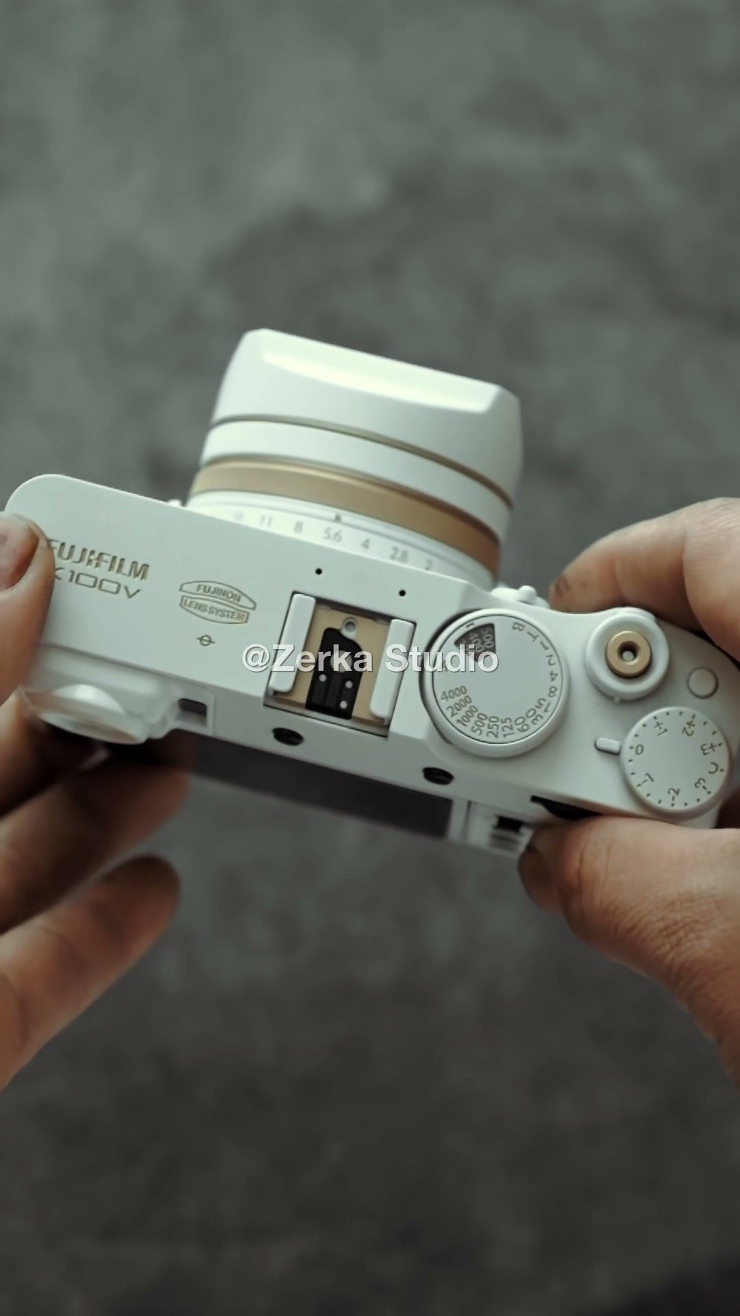 [Made to Order] Fujifilm X100V 【Champagne】#179