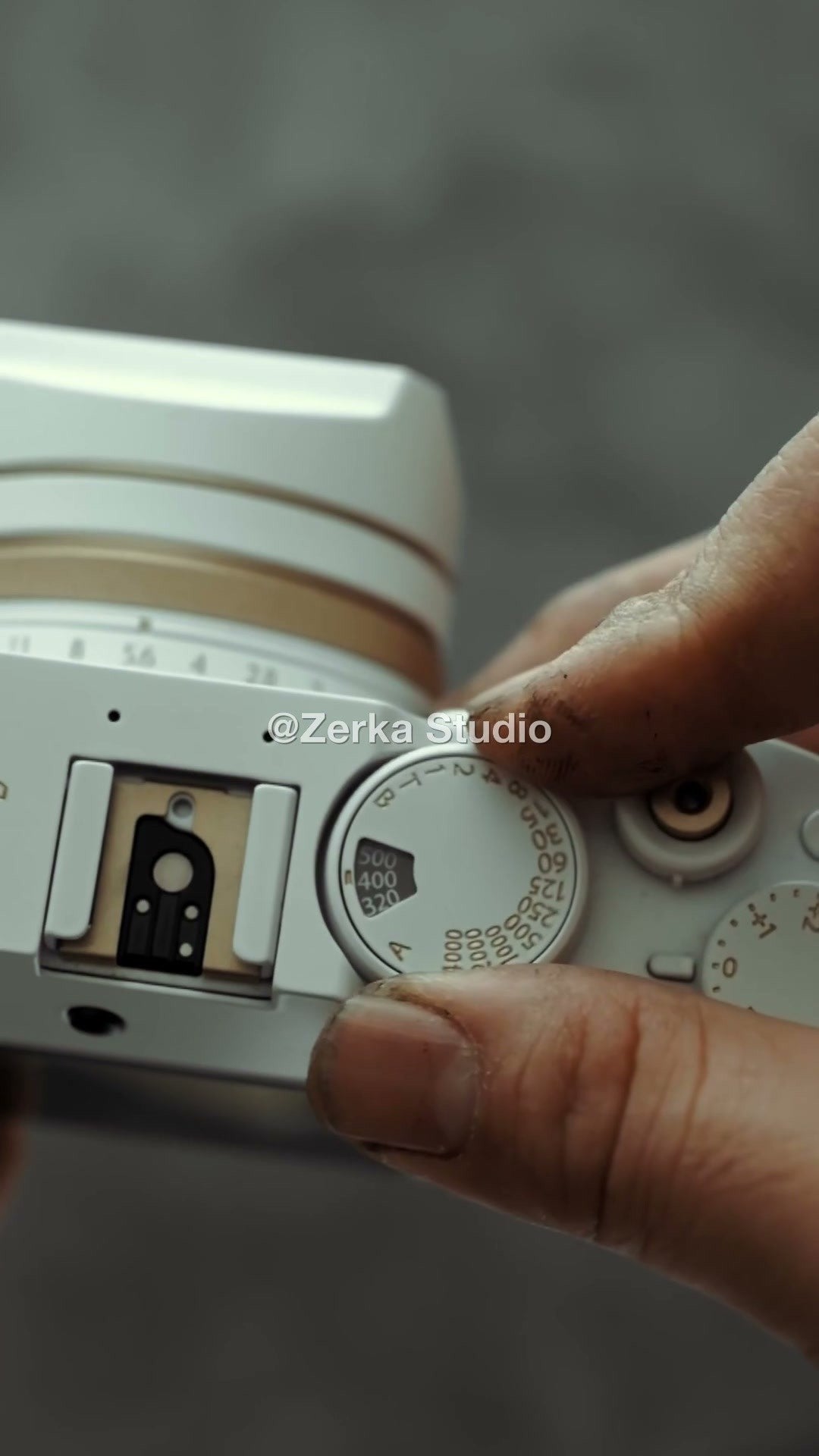 [Made to Order] Fujifilm X100V 【Champagne】#179