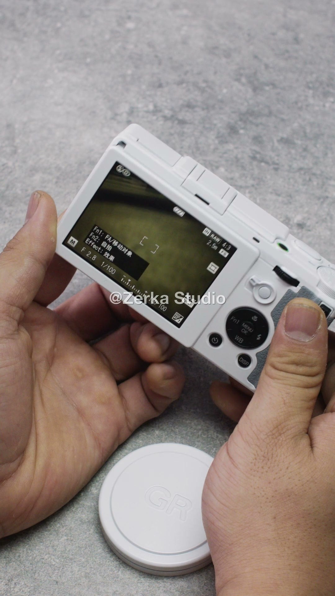 [Made to Order] Ricoh GR II 【Classic Grey】#146