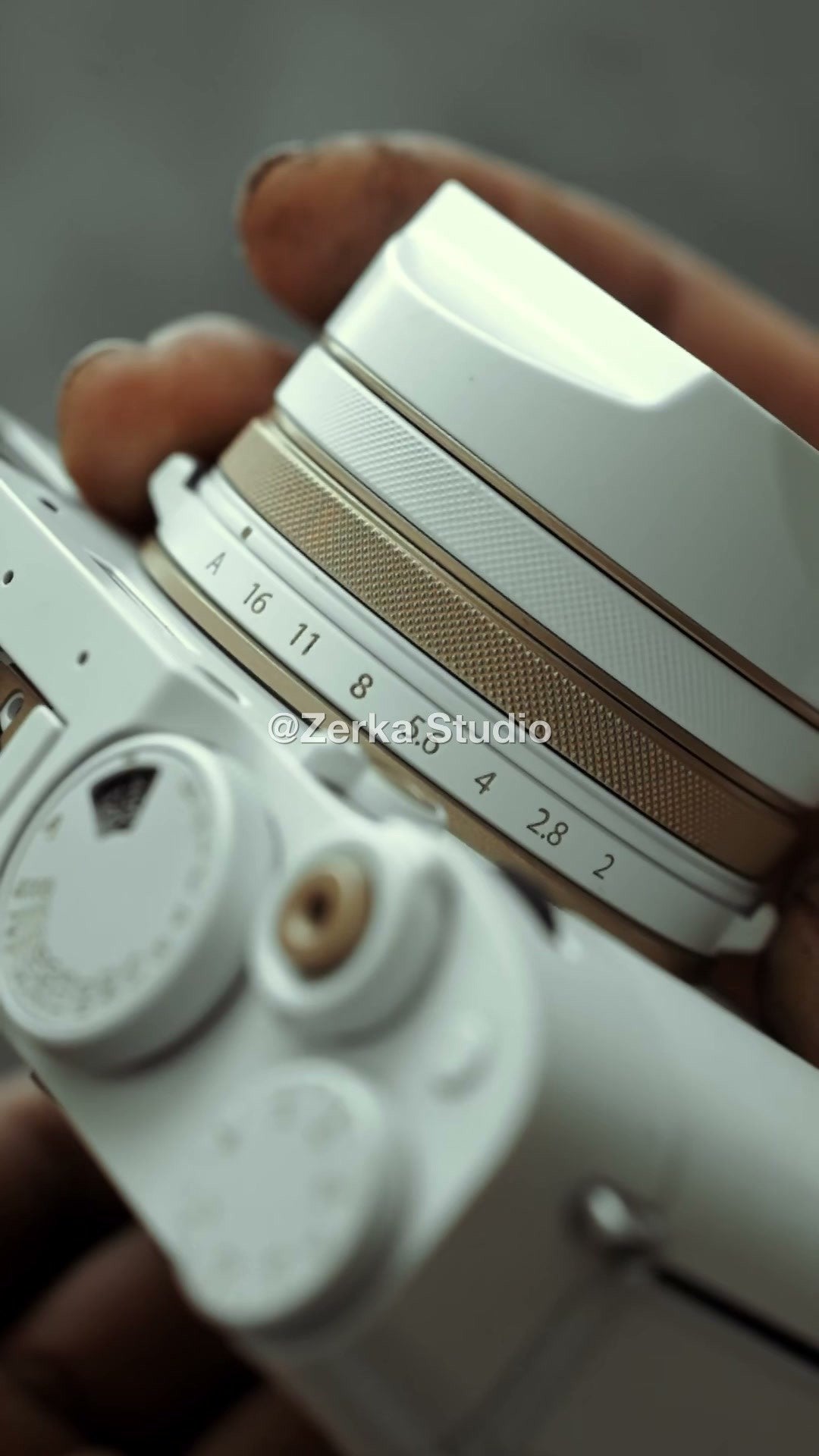 [Made to Order] Fujifilm X100V 【Champagne】#179