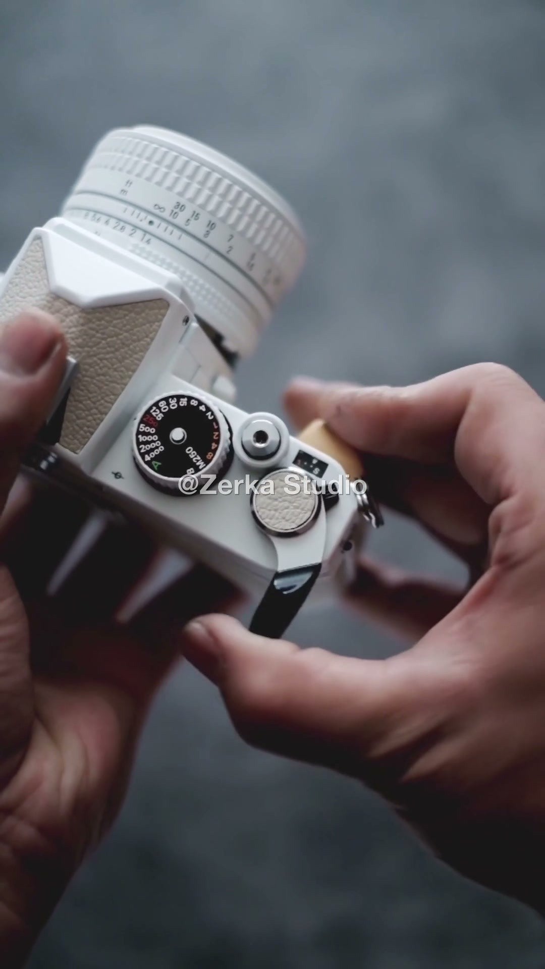 [Made to Order] Nikon FE2 【Oatmeal】#190