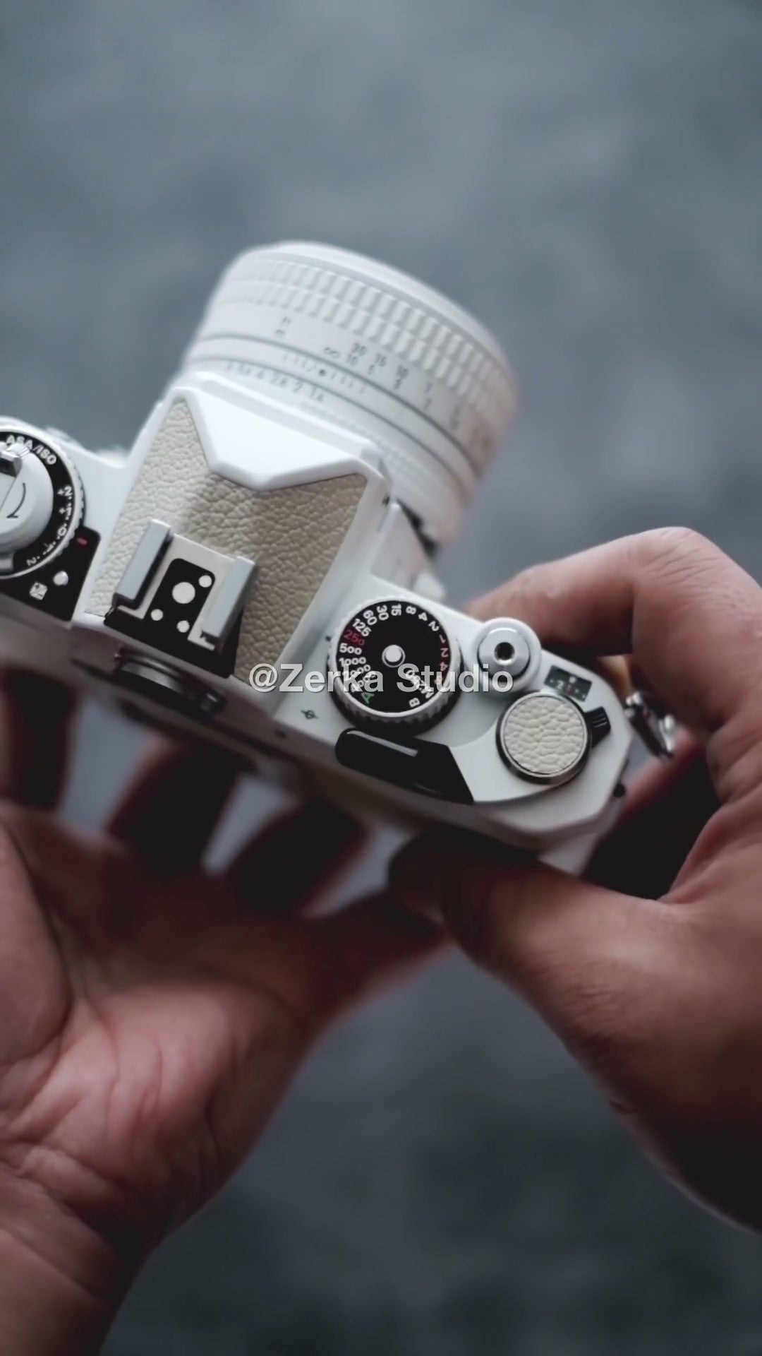 [Made to Order] Nikon FE2 【Oatmeal】#190