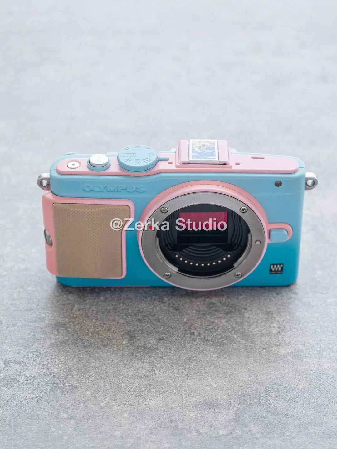 [Made to Order] Olympus PEN E-PL5 【Sorbet】#199