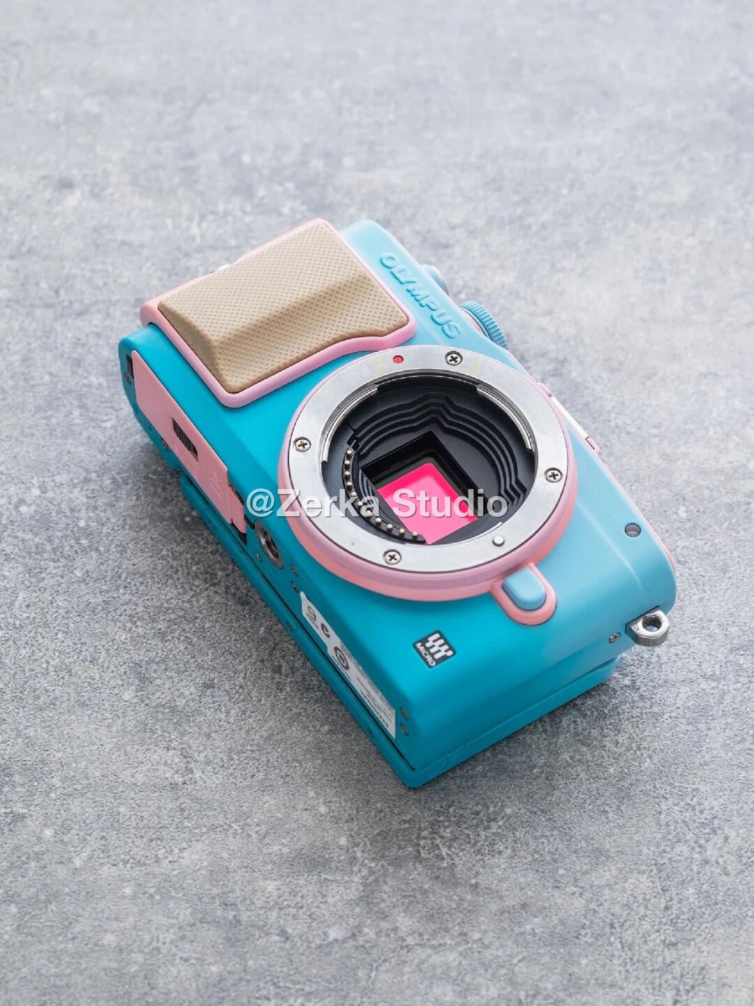 [Made to Order] Olympus PEN E-PL5 【Sorbet】#199