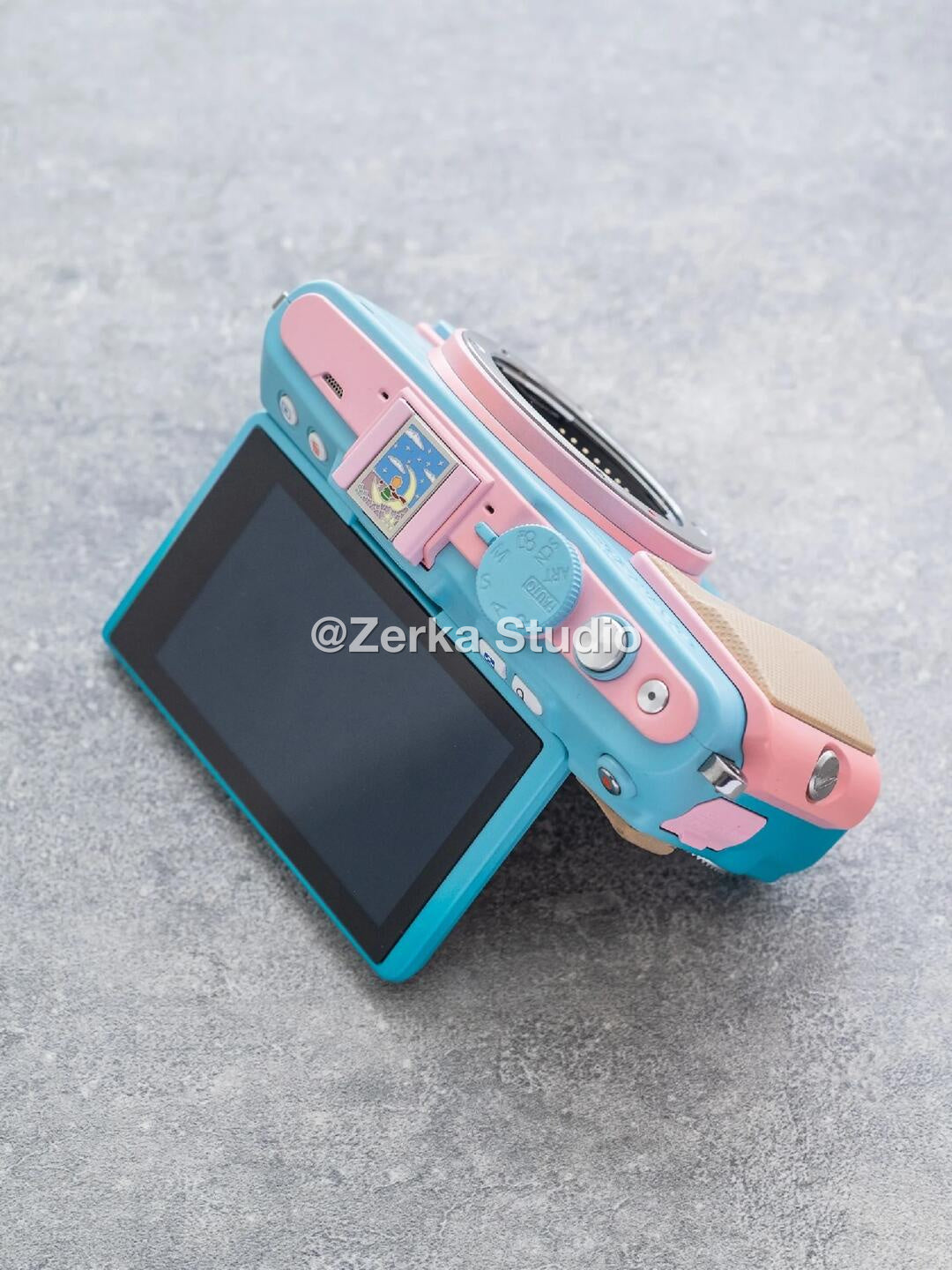 [Made to Order] Olympus PEN E-PL5 【Sorbet】#199