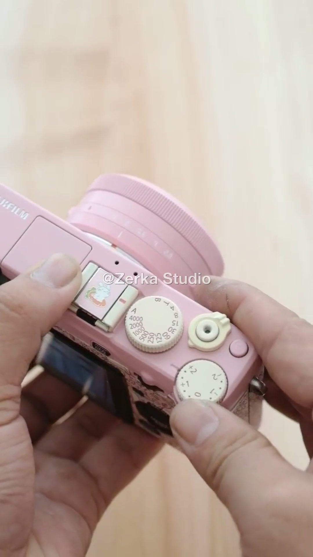 [Made to Order] Fujifilm X-E1 【Rosewater】#217