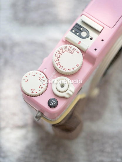 [Made to Order] Fujifilm X-E1 【Tea Rose】#260