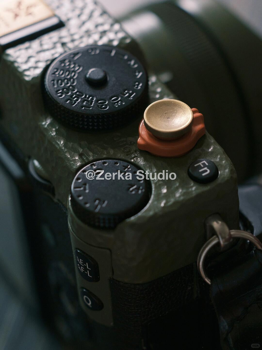[Made to Order] Fujifilm X-Pro1 【Hammered Fern】#239