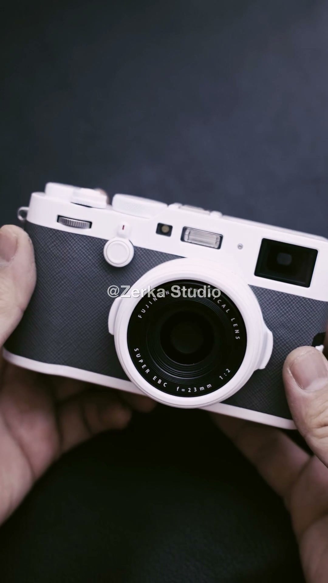 [Made to Order] Fujifilm X100F 【Blue Willow】#74