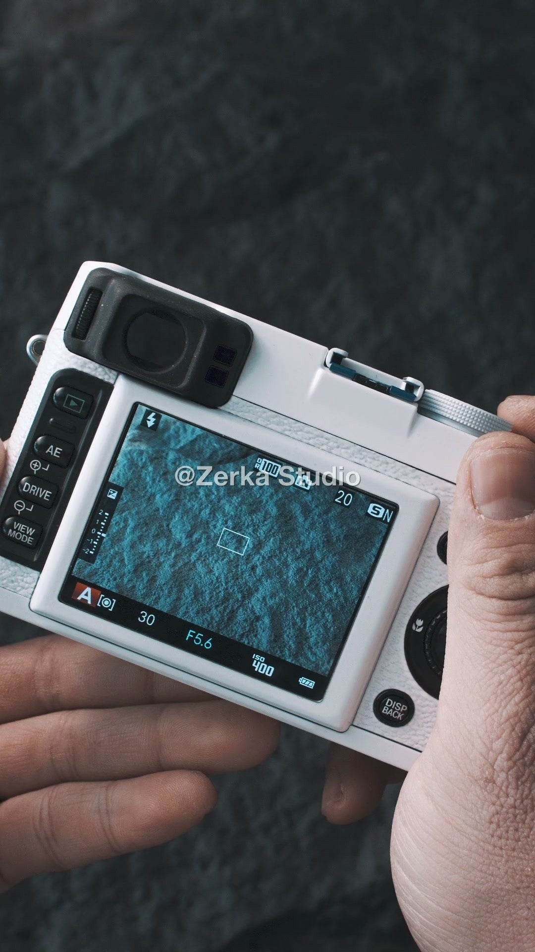 [Made to Order] Fujifilm X100S 【Tidepool】#66